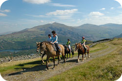 Snowdonia Riding Stables